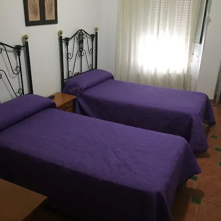Ronda Baza
